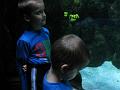 Legoland 14